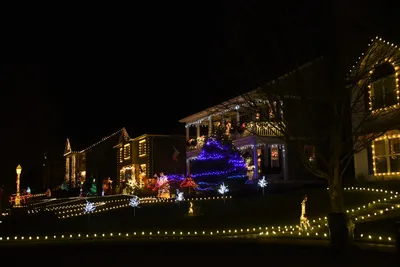 DSC_6728 (Large).JPG